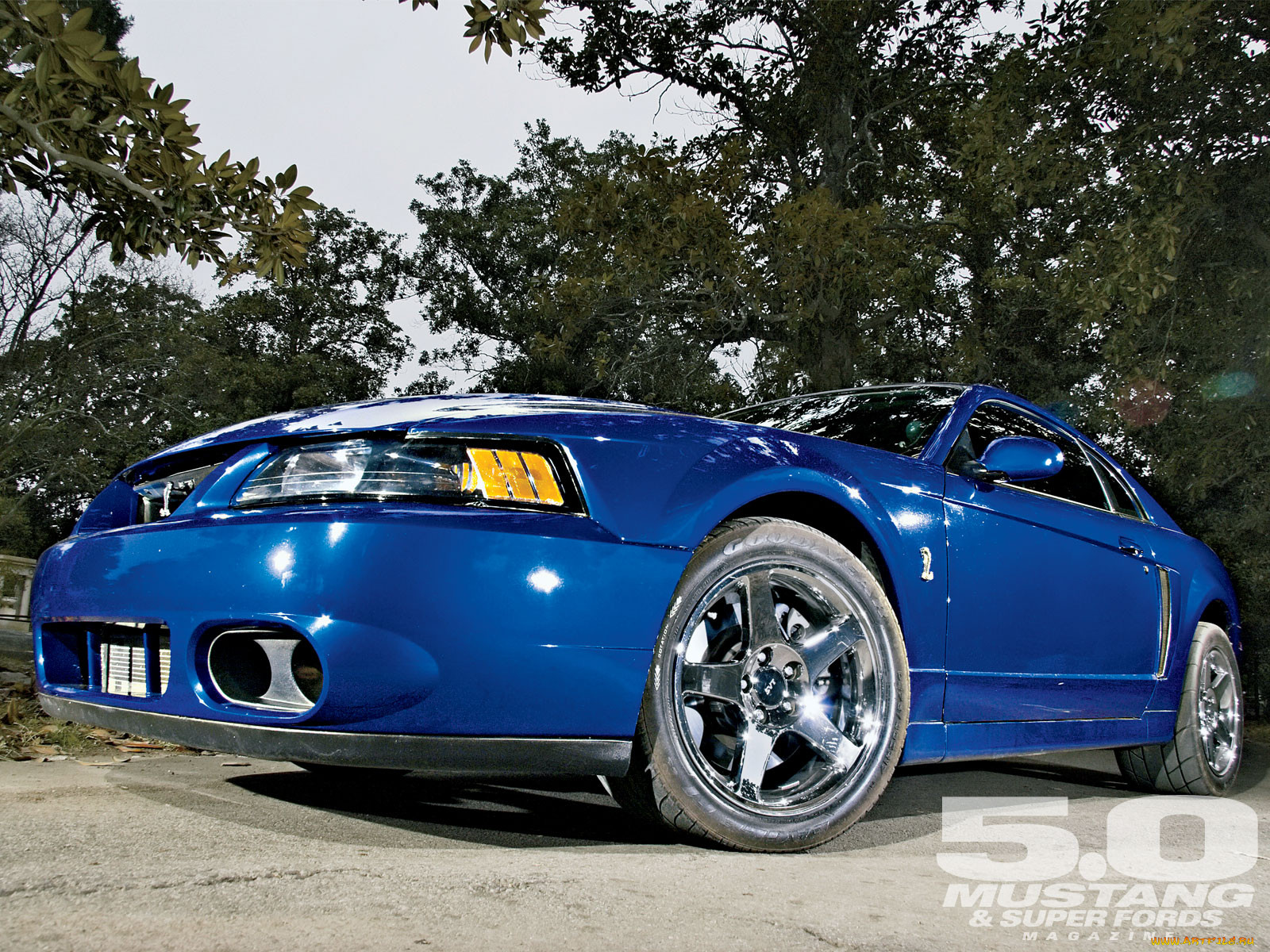 , mustang